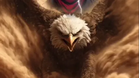 TR_EAGLE